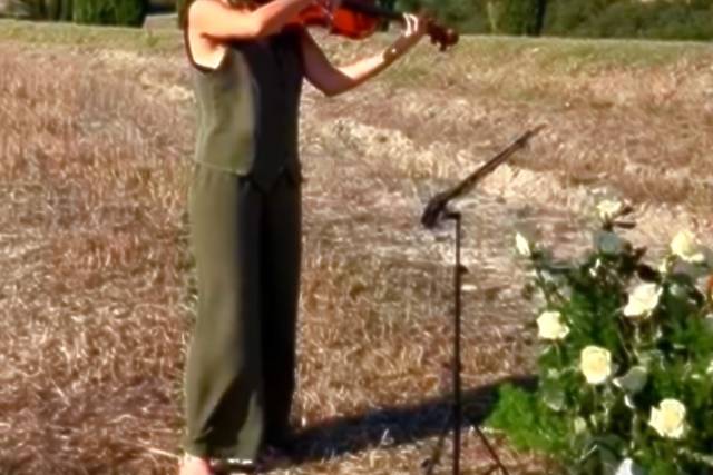 Violino Cerimonia