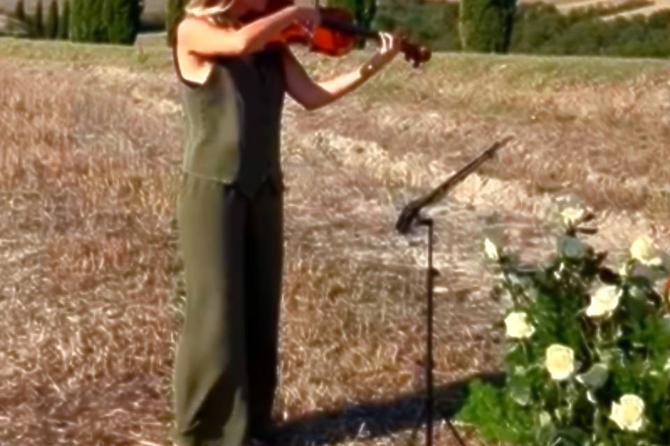 Violino Cerimonia