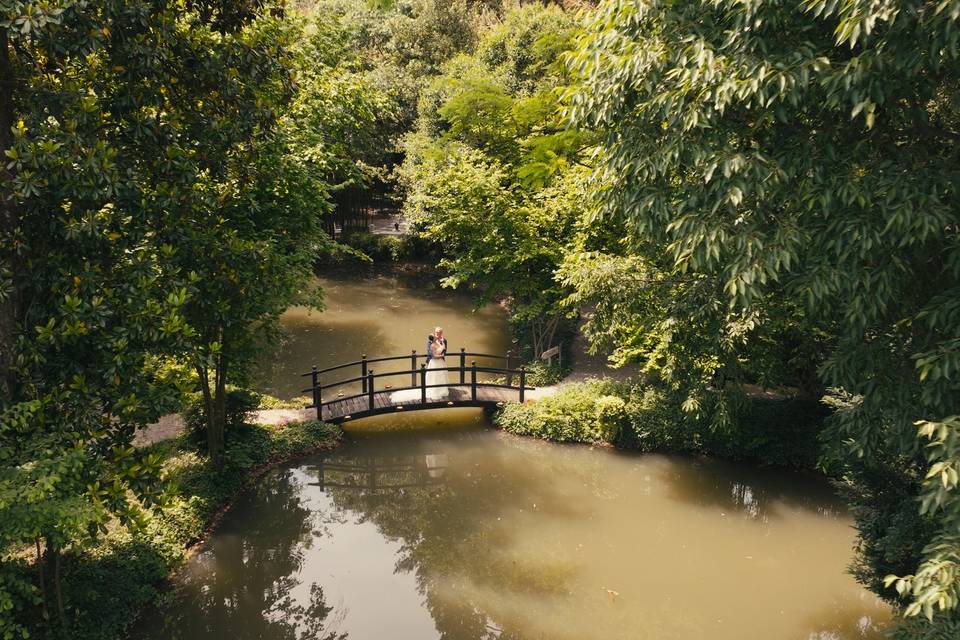 Ponte