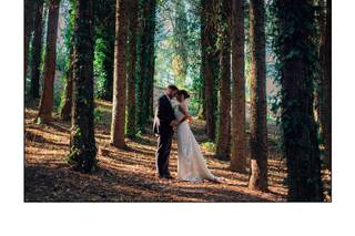 Andrea Andreocci Photography