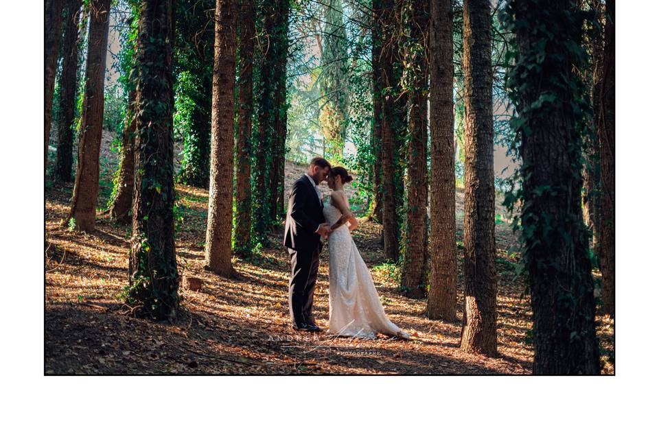 Andrea Andreocci Photography