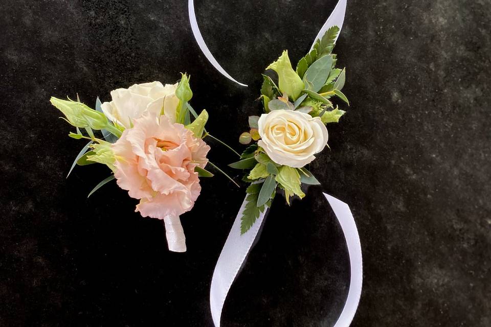 Accessori