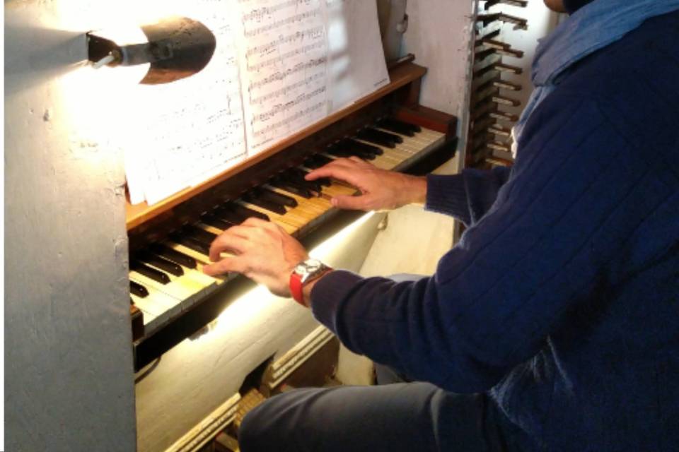 Juliano Molteni Organista