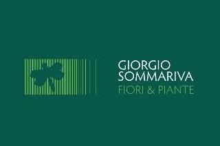 Giorgio Sommariva logo