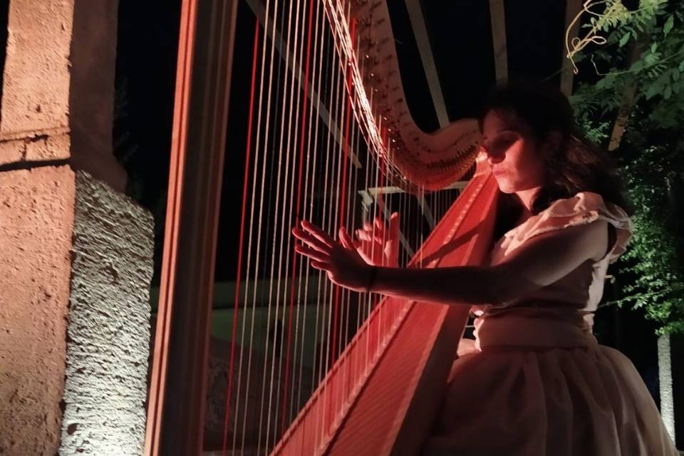 Harpist