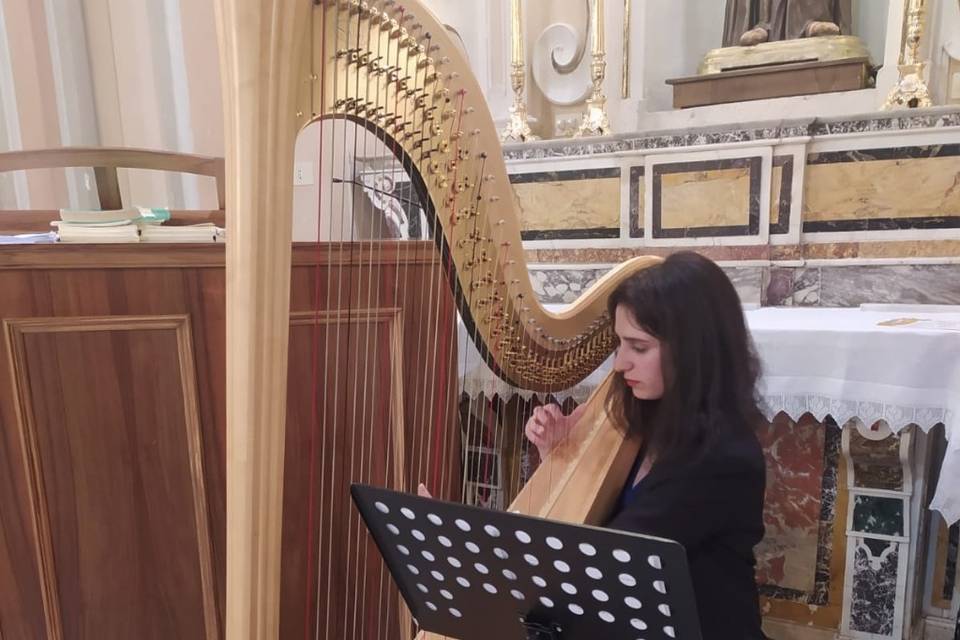 Harpist