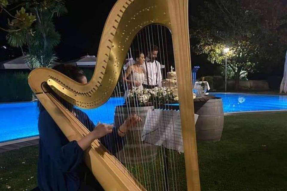 Harpist