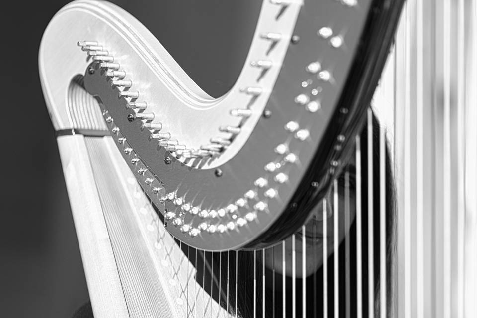 Harpist