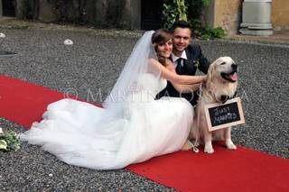 Wedding Dog Specialist Martina Ossola