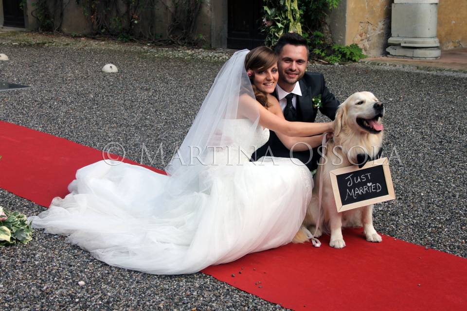 Wedding Dog Specialist Martina Ossola
