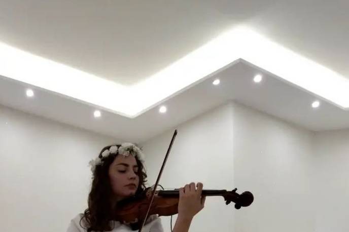 Violino