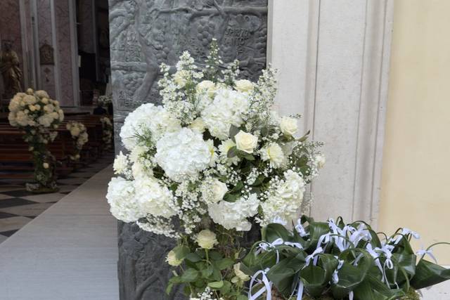 Bianco pieno