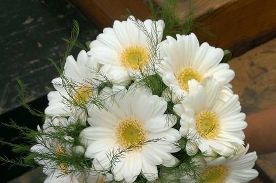 Bouquet gerbere