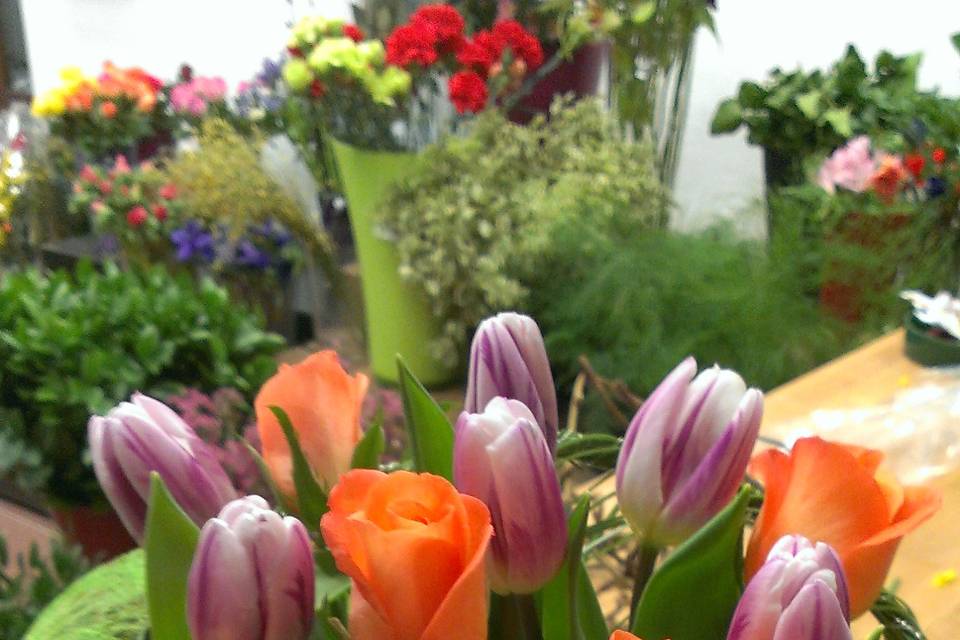 Bouquet tulipani e rose