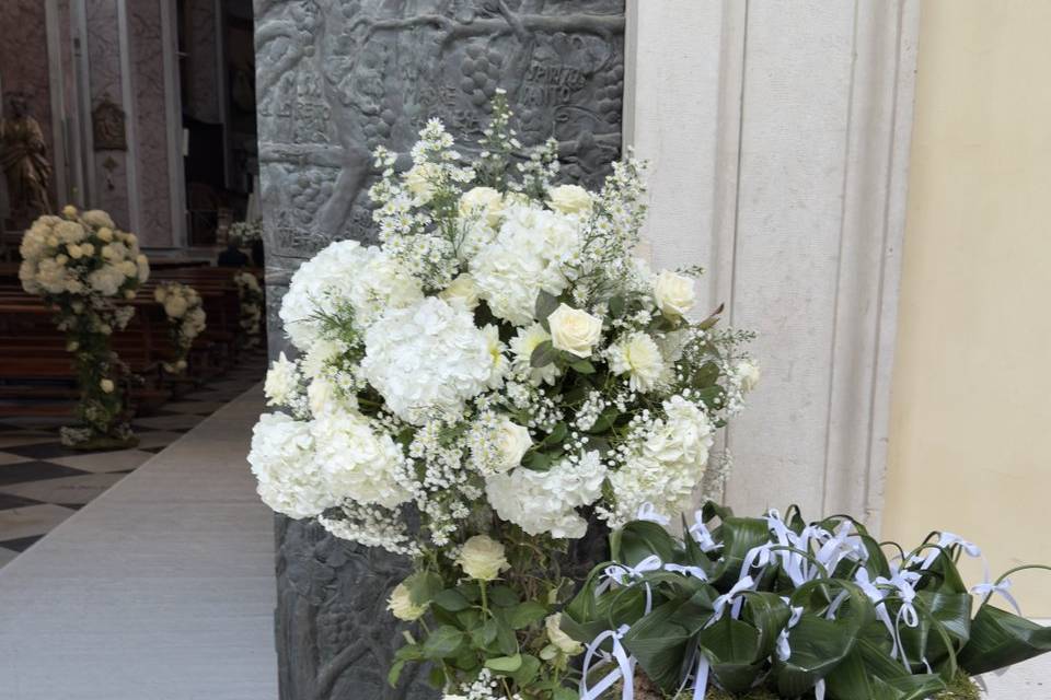 Bianco pieno