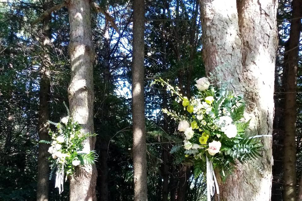 Matrimonio nel bosco