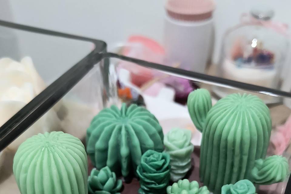 Candela Terrarium