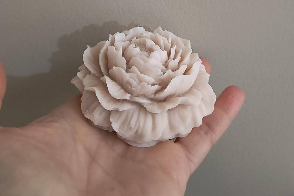 Peonia