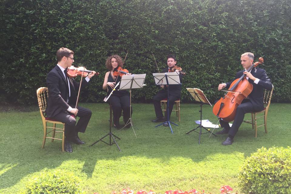 Quartetto d'archi-villa d’Este