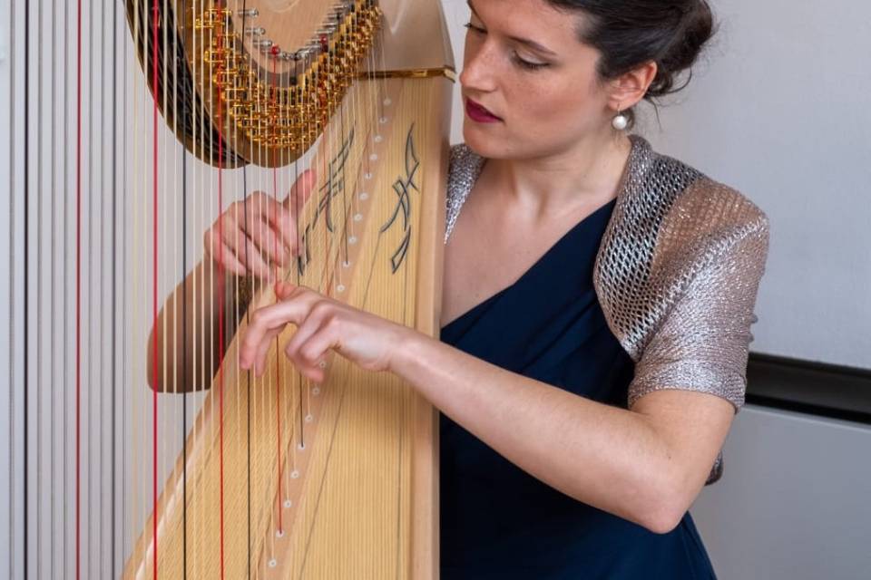 Letizia Cerasa Arpa
