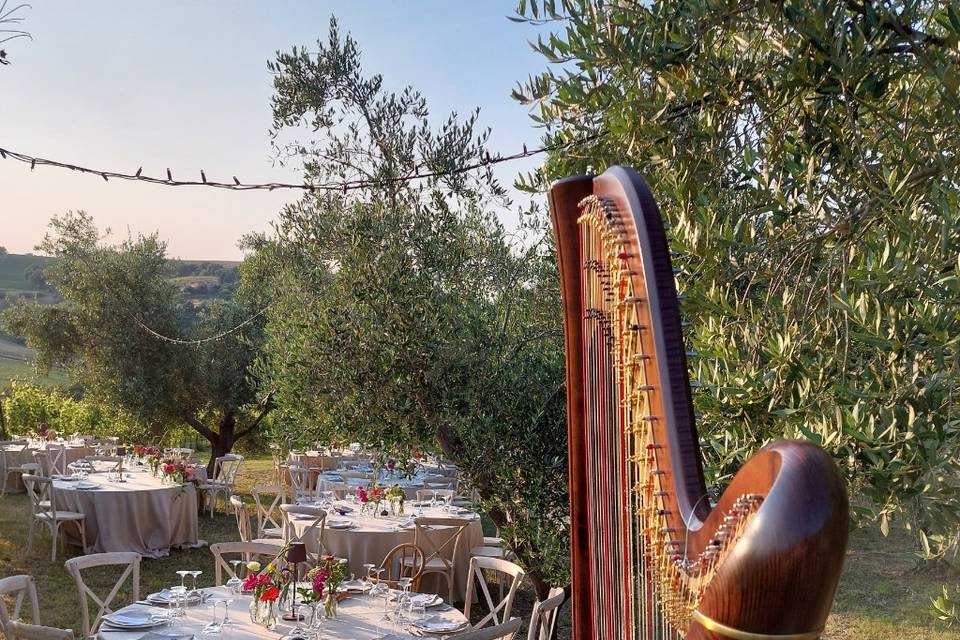 Cena in vigna