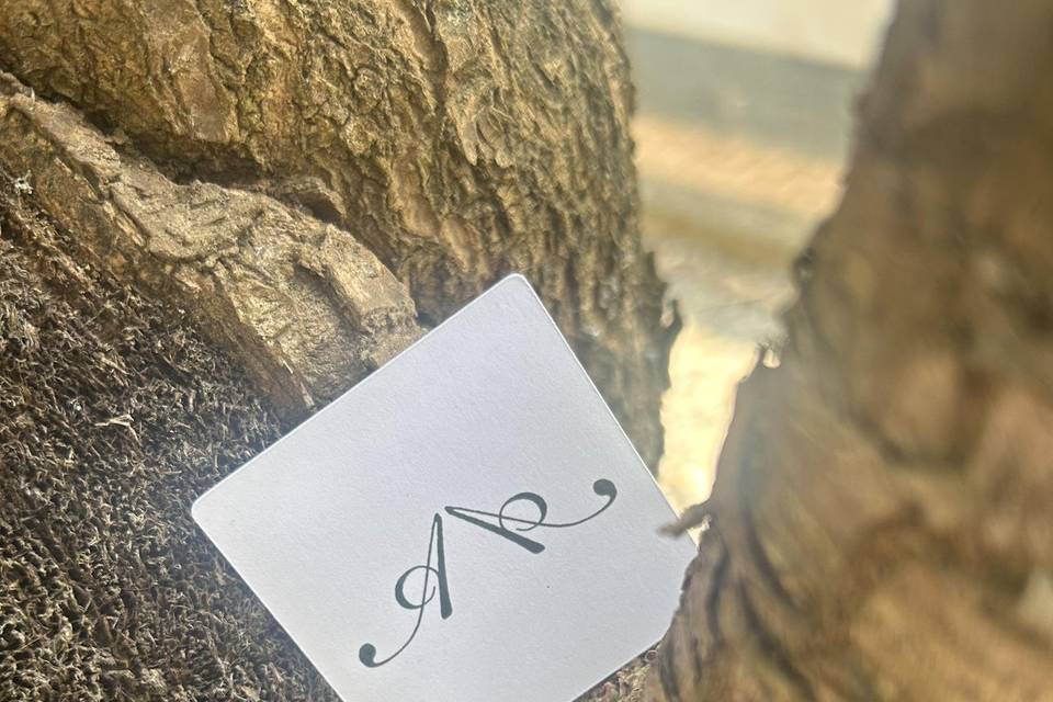 Il Matrimonio di A&A