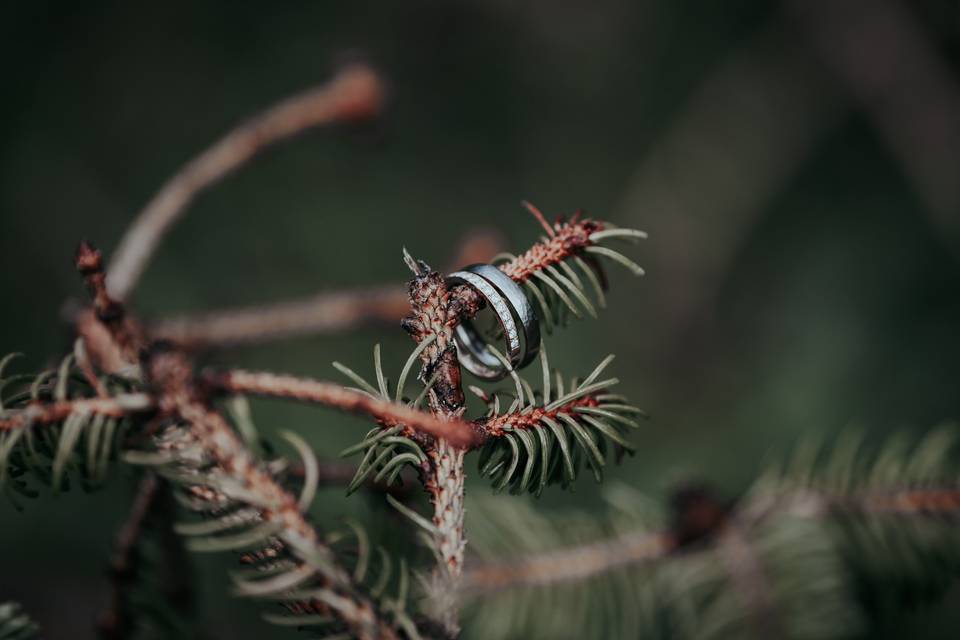 Wedding Photographer Dolomites