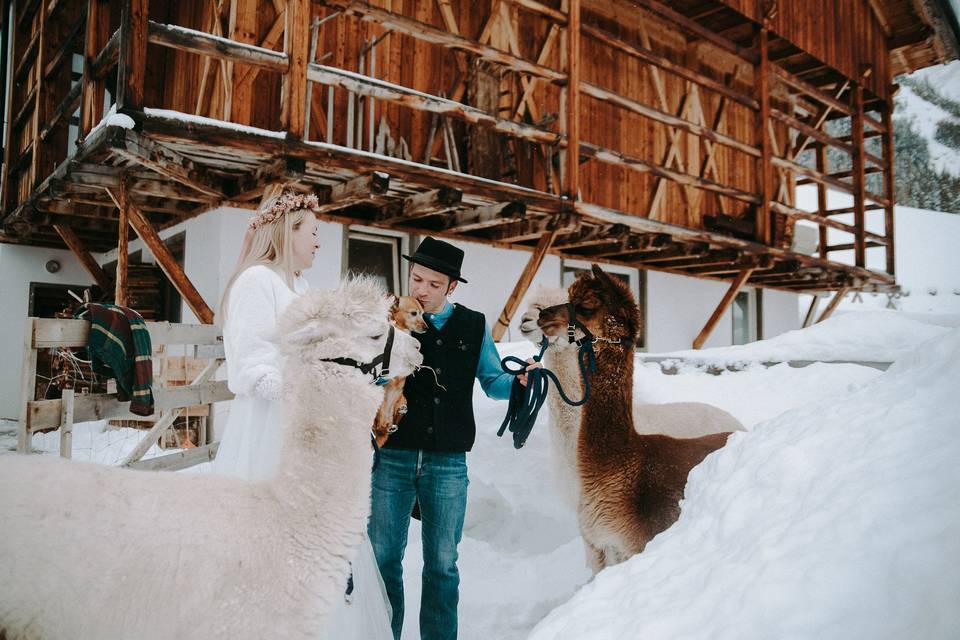 Wedding Photographer Dolomites