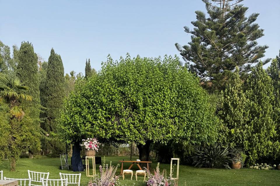 Le Trabe Paestum