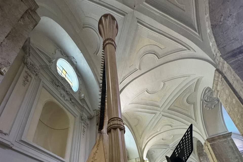 Arpa sola