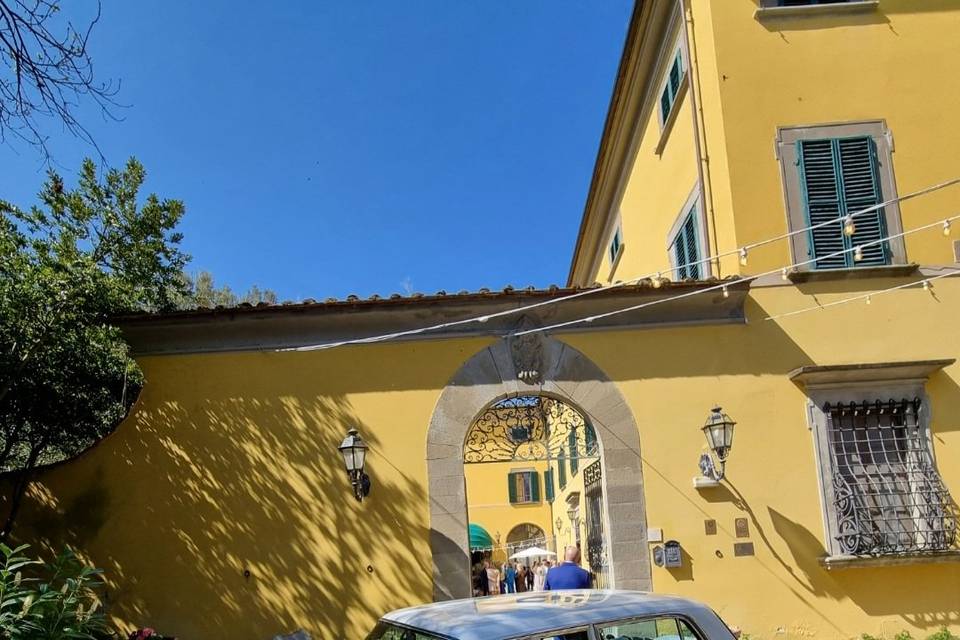 Eleganza vintage