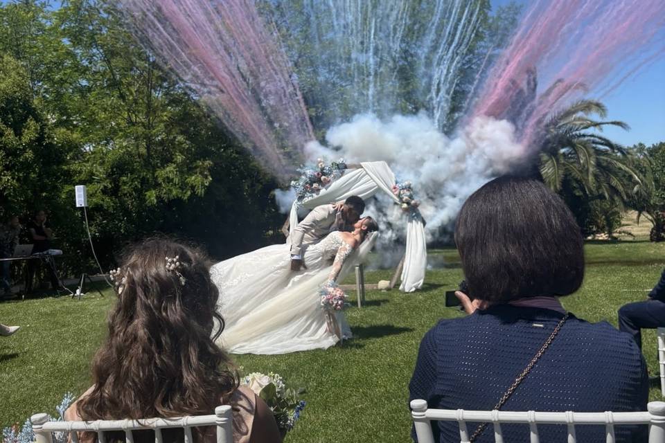 🎉