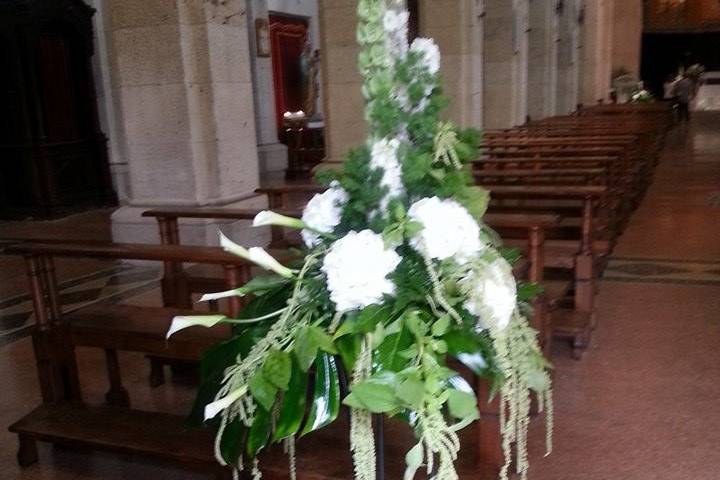 Ortensie bianche