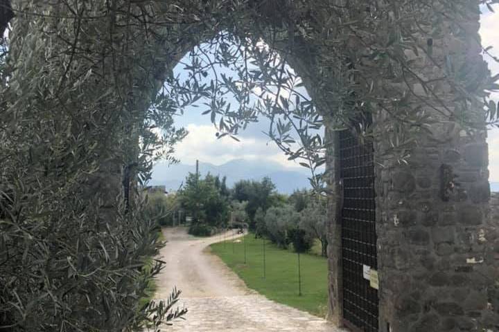 Arco d'ingresso