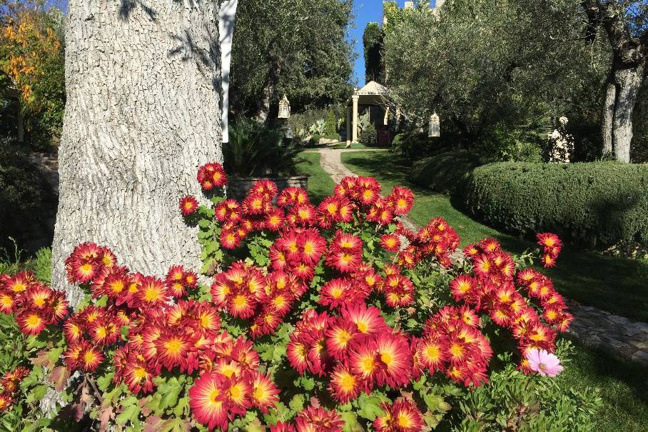 Fra i colori della natura