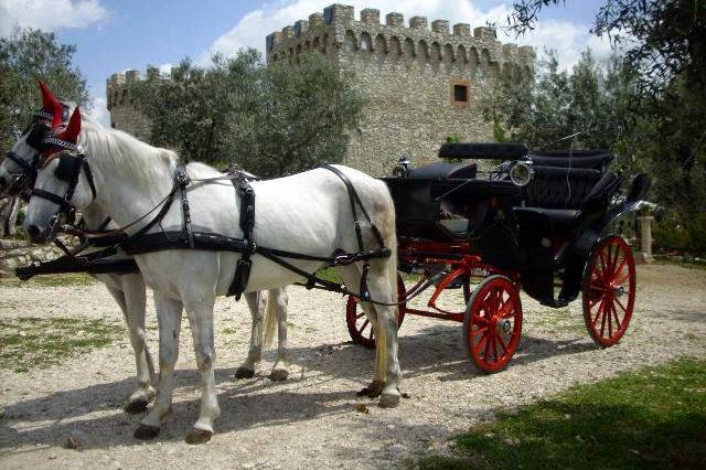 La carrozza con i cavalli