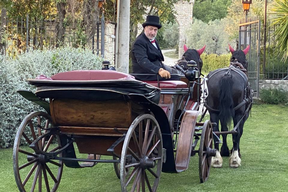 Carrozza e cocchiere