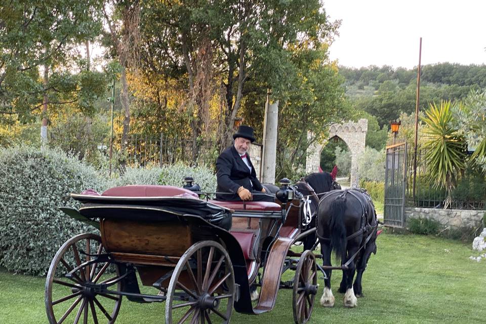 Carrozza con cavalli