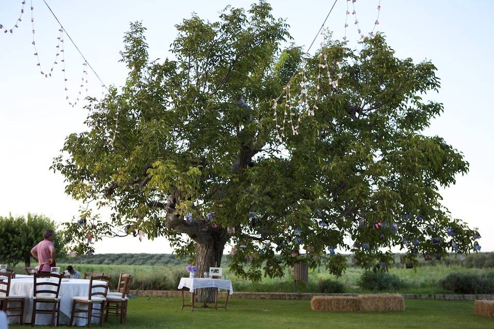 Matrimonio in masseria