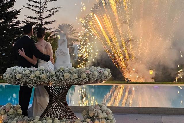 Maria Castagno Wedding and Events Planner