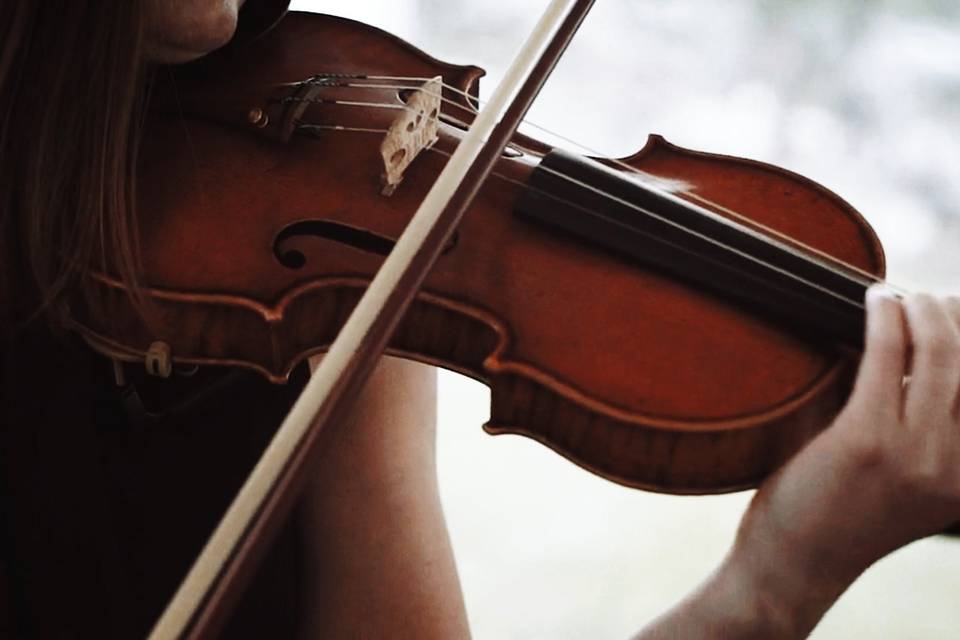 Violino // Cerimonia