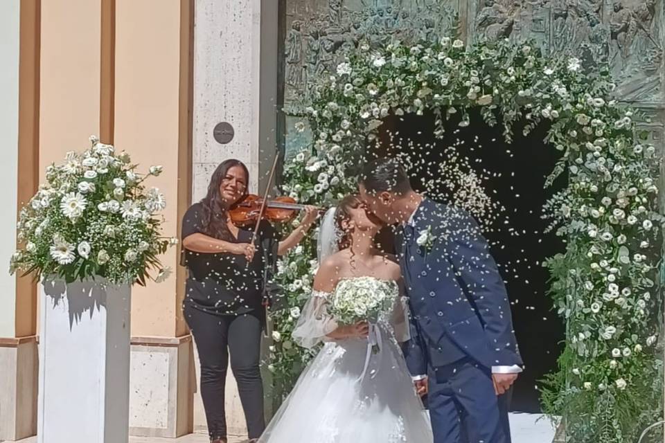 Violino al lancio del riso