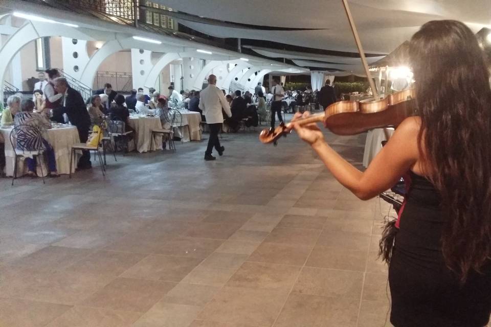 Violinista aperitivo