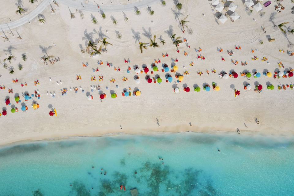 Ocean cay, marina reserve