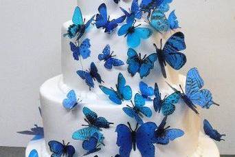 Butterfly cake