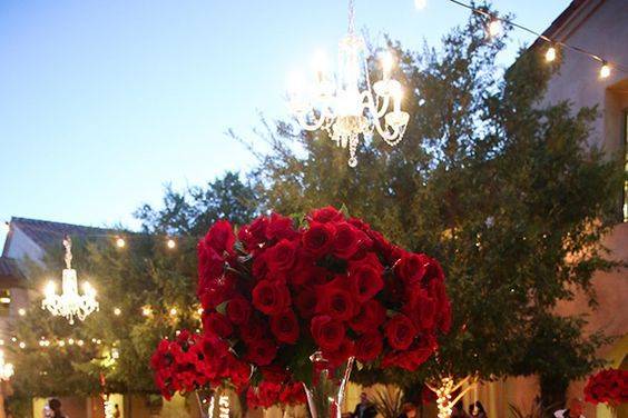 Tema rose rosse