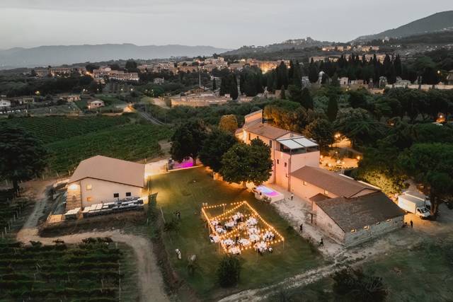 Dal drone