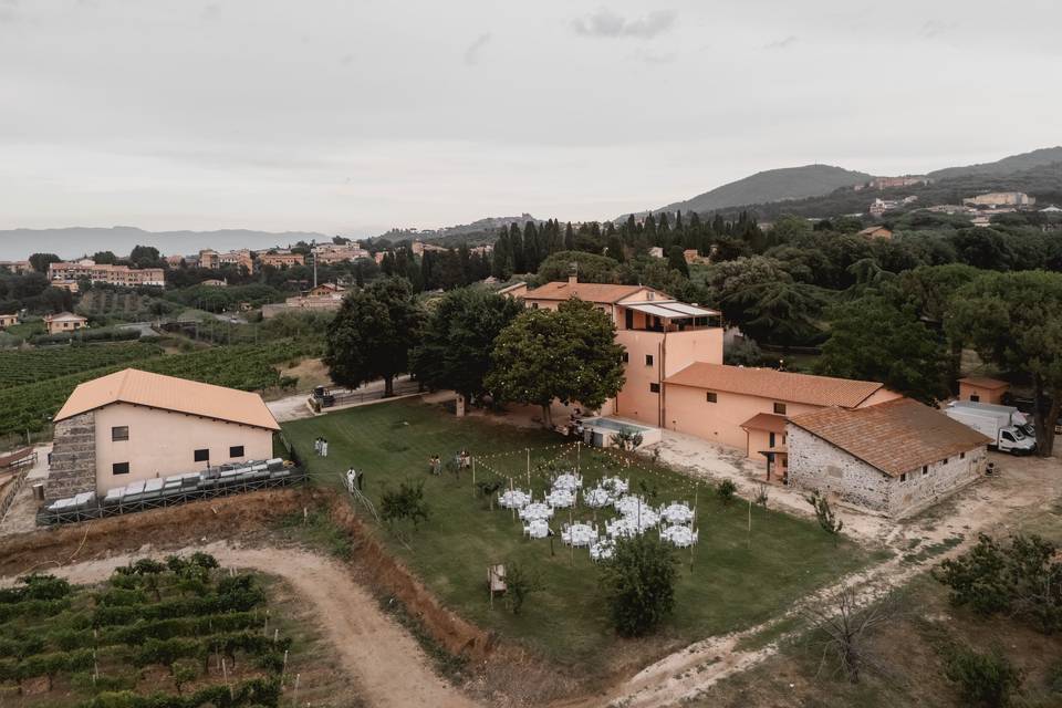 Dal drone