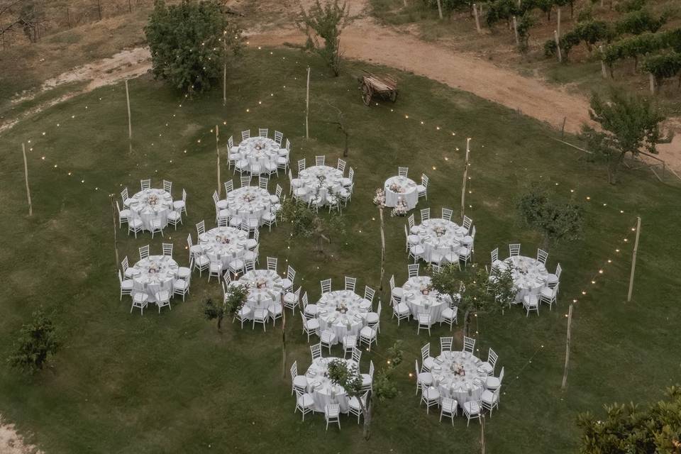 Dal drone