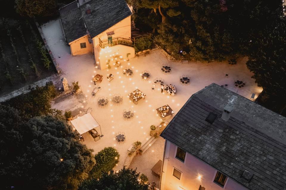 Dal drone